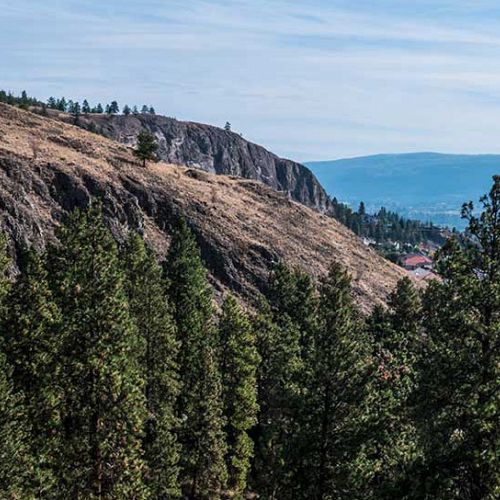 Dilworth Mountain
